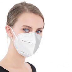 KN 95 Mask